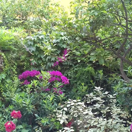 Alloggio in famiglia La Clémente *